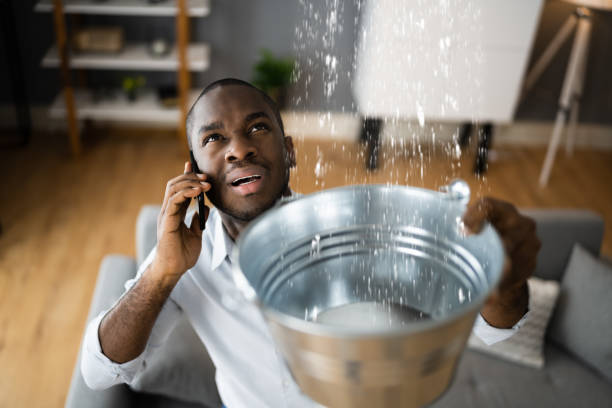 Best 24-hour water damage restoration  in Lihue, HI