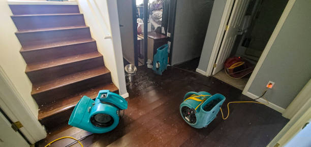 Professional Water damage restoration in Lihue, HI