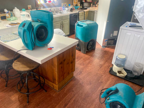 Best Sewage cleanup and water damage restoration  in Lihue, HI
