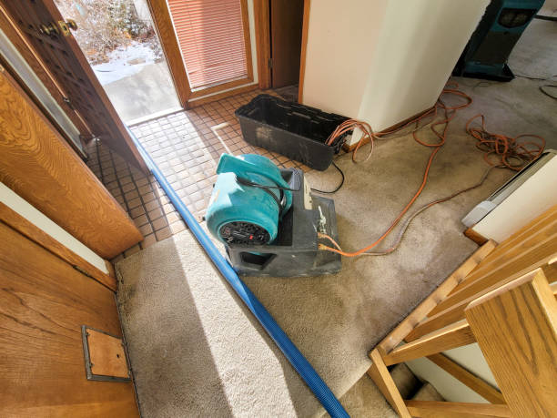 Best Commercial water damage restoration  in Lihue, HI