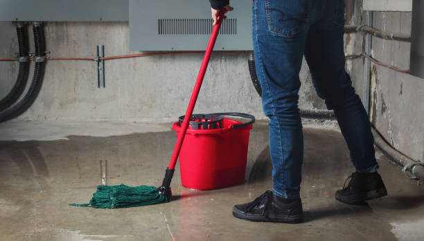 Best Local water damage restoration  in Lihue, HI