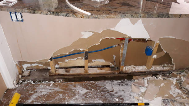 Best Flood damage cleanup  in Lihue, HI