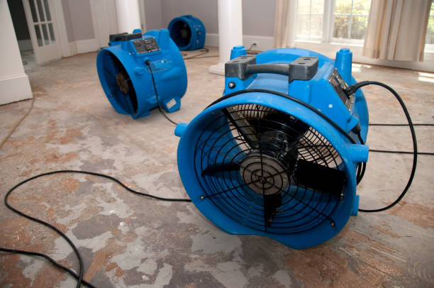Best Residential water damage restoration  in Lihue, HI