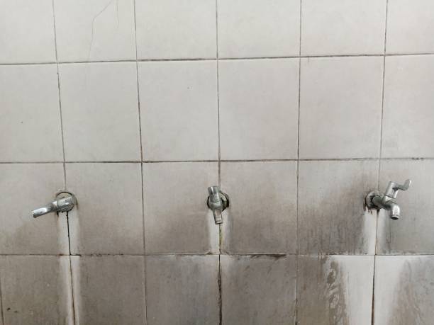 Best Flood restoration services  in Lihue, HI