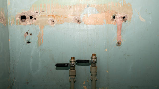 Water damage restoration mold remediation in Lihue, HI