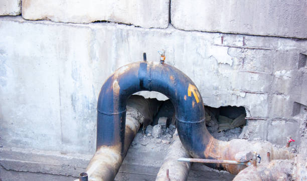 Best Water damage contractors near me  in Lihue, HI