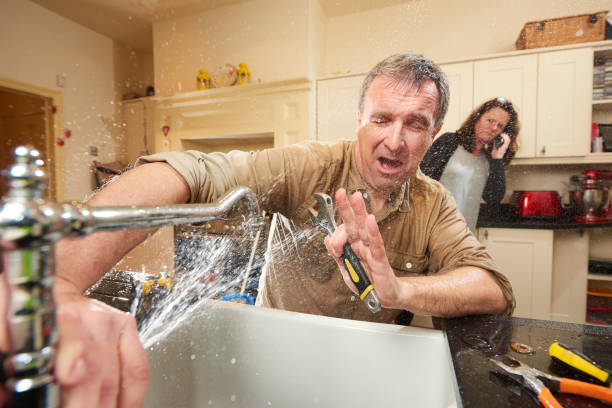  Lihue, HI Water damage restoration Pros